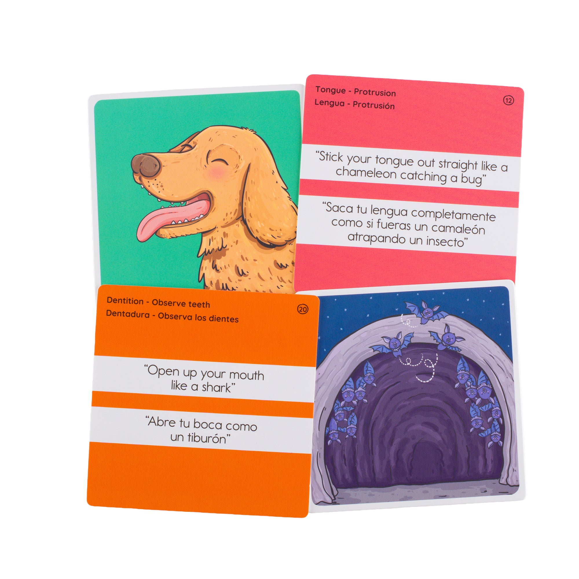 Oral Motor Assessment English & Spanish