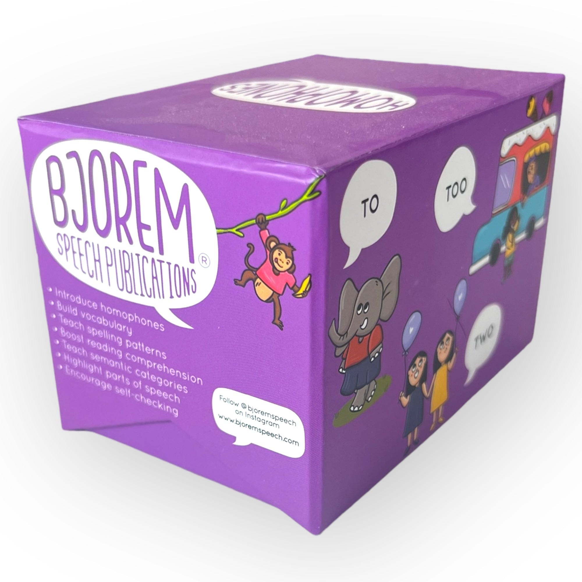 Bjorem Speech Publications box with homophone learning aids