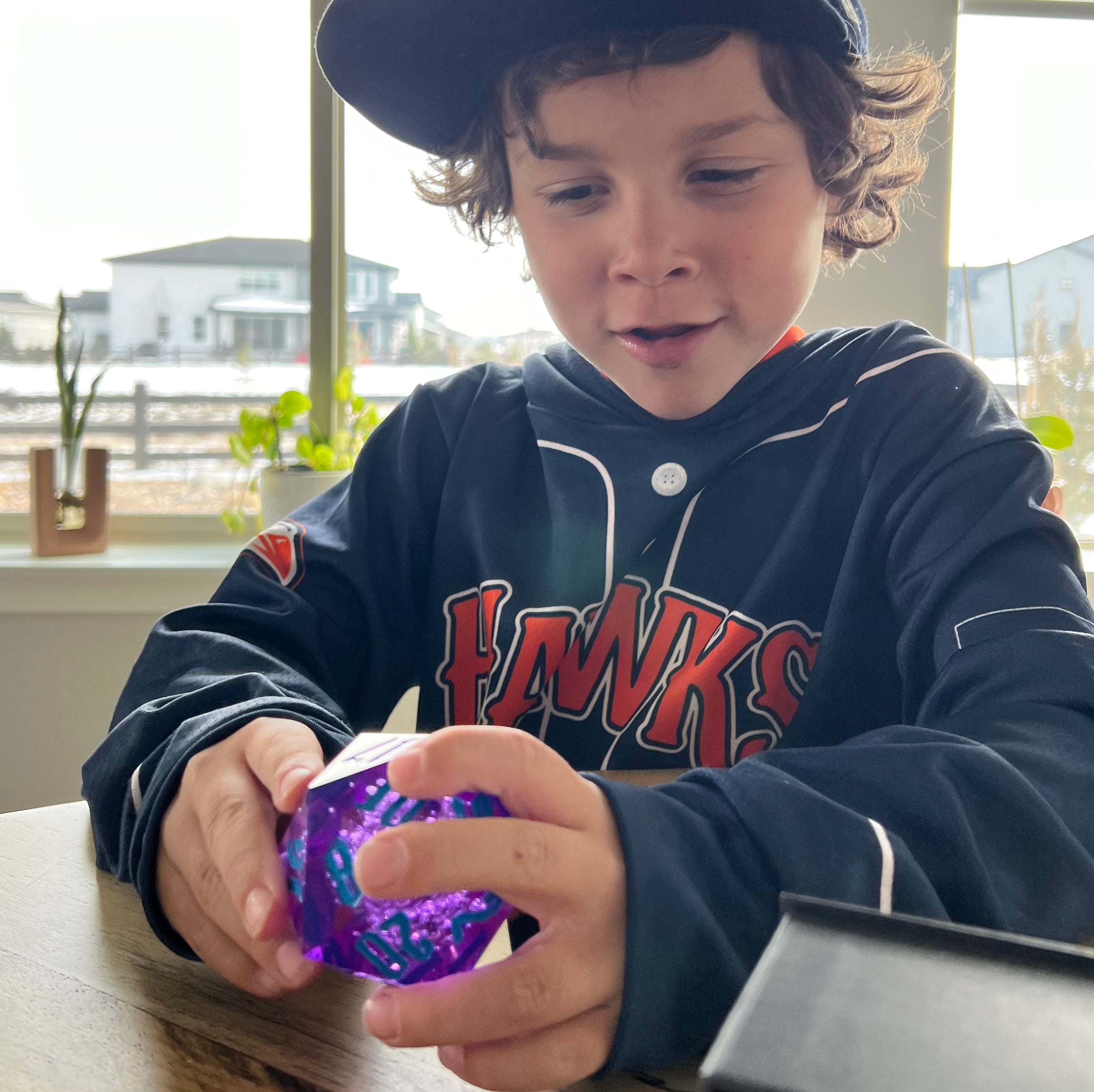 Bjorem BIG Roller 20-Sided GIGANTIC Die Bjorem Speech BIG Roller 20-Sided Die for High Repetitions Best Speech Language Therapy Tools