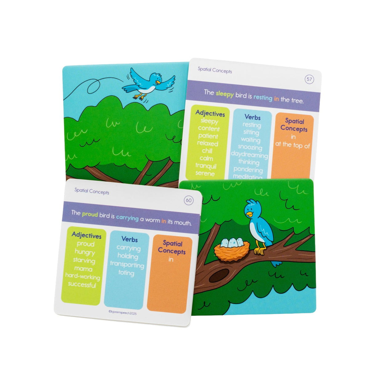 Spatial Concepts card front with a bird and the back with language prompts