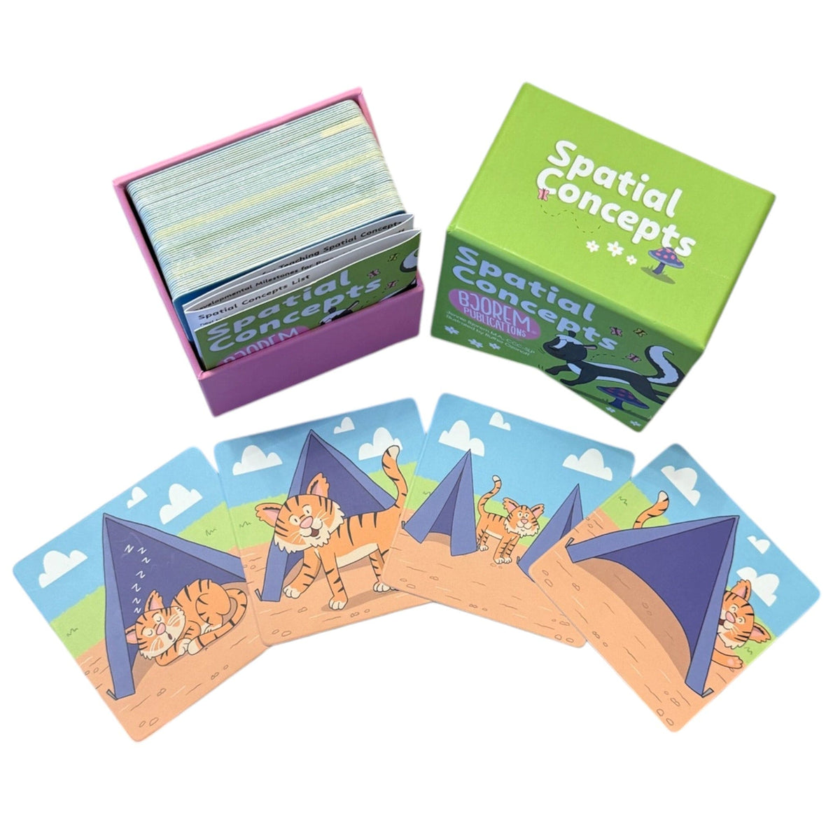 Spatial Concepts box with a row of sample scene cards