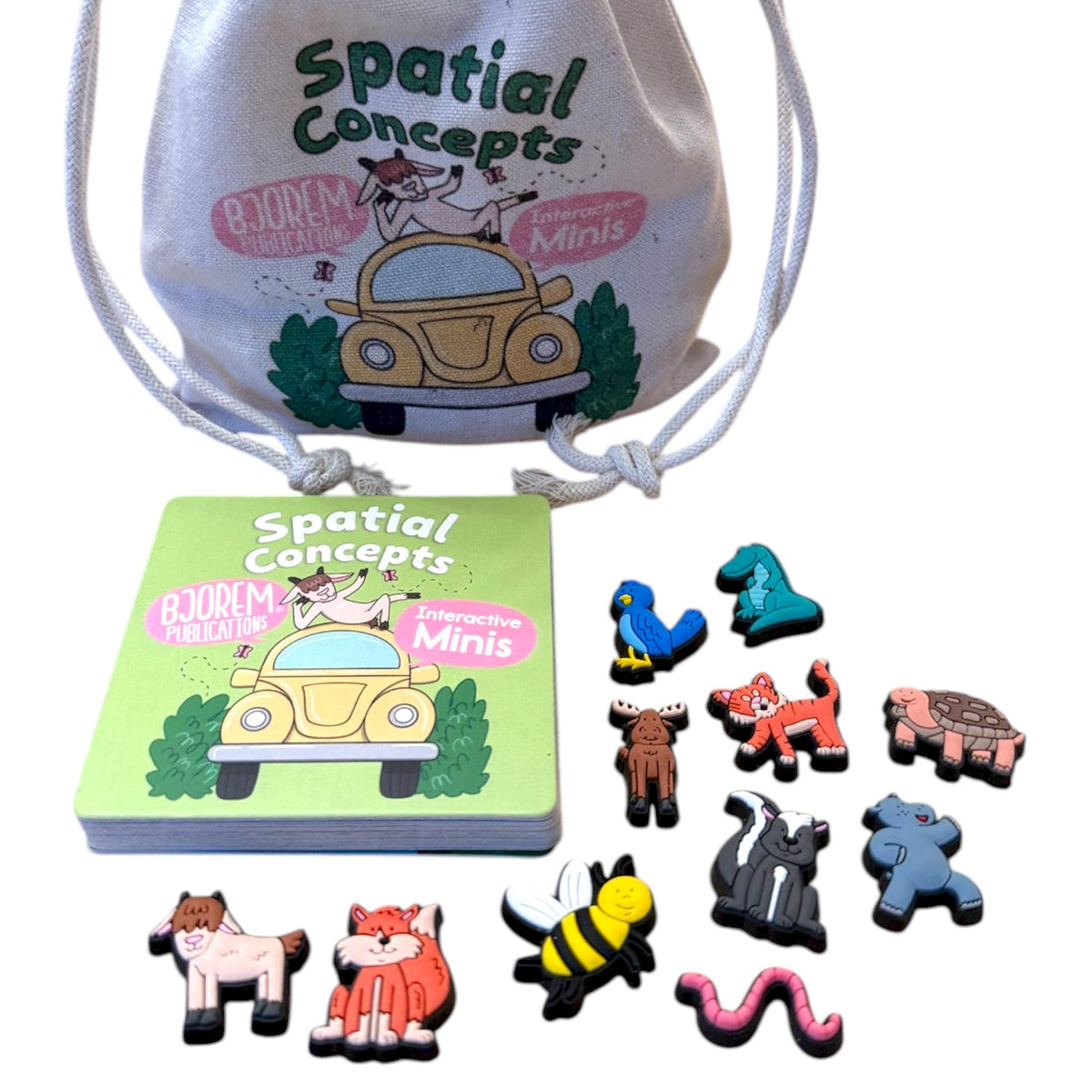 Spatial Concepts minis figures, scene cards and bag