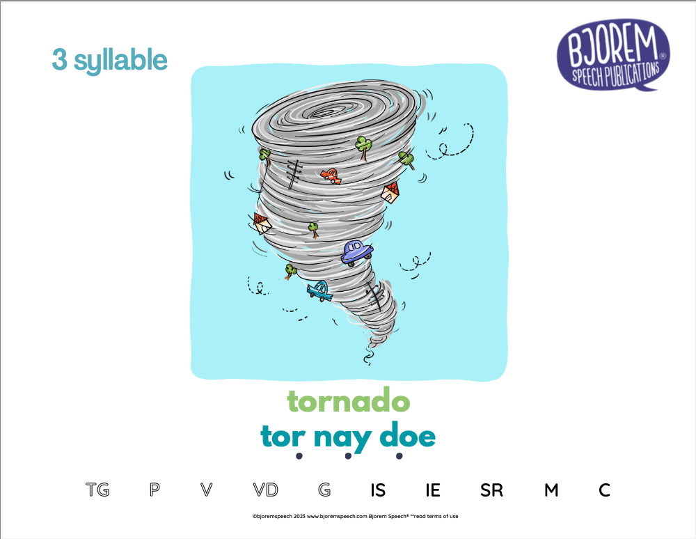 Stimulus Picture Book for Childhood Apraxia of Speech Inventory - Download Consonant Vowel Stimulus Picture Book for Apraxia Best Speech Language Therapy Tools