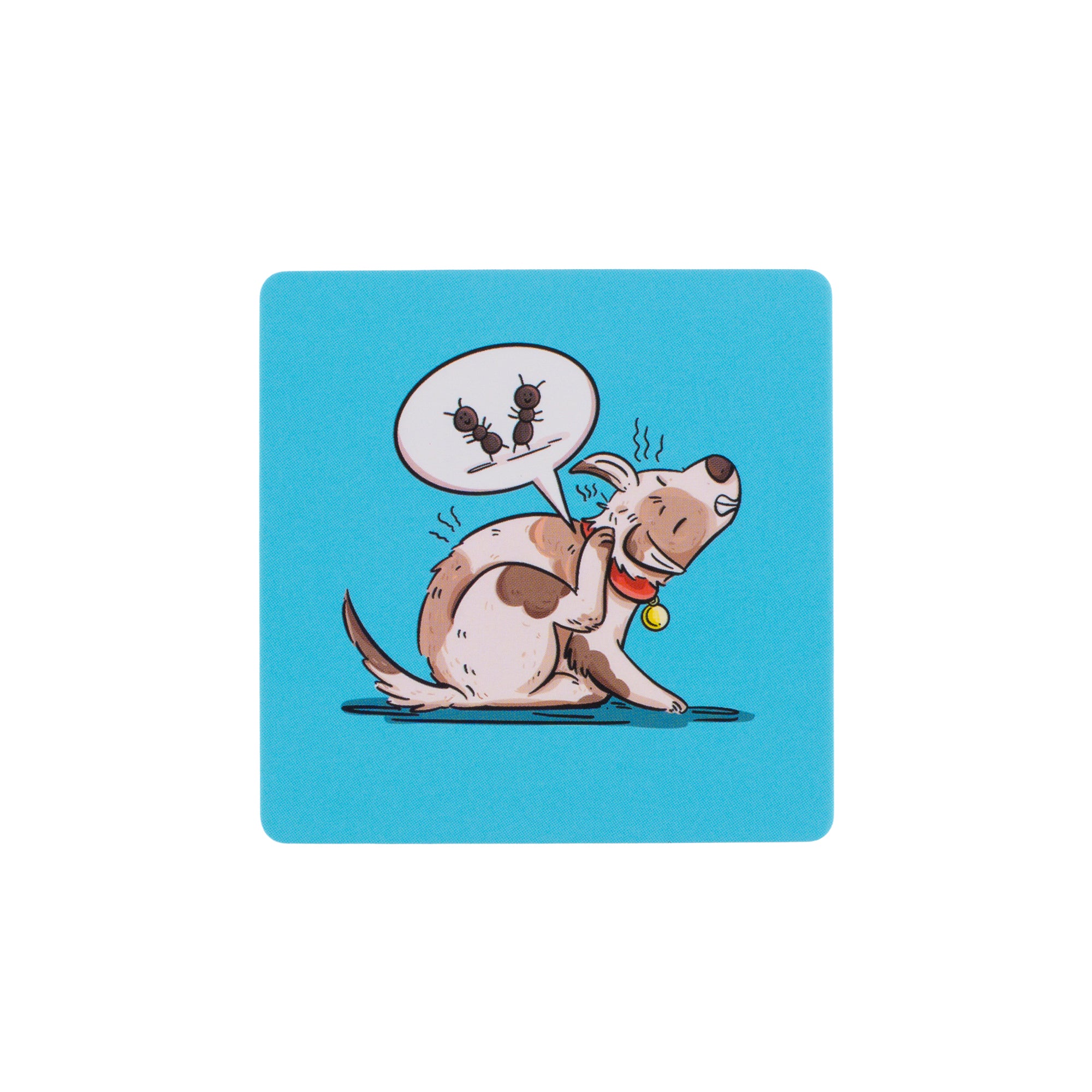 -ch/-tch Spelling Pattern Word Sort