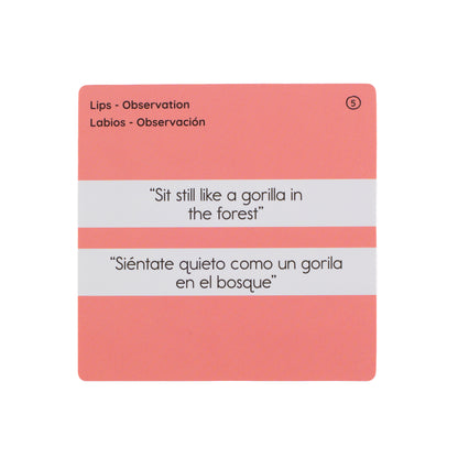 Oral Motor Assessment English & Spanish