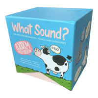 Bjorem What Sound? Interactive Sounds - Categories for Young Children ...