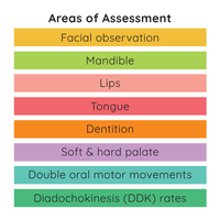 Thumbnail for [title]Oral Motor Assessment
