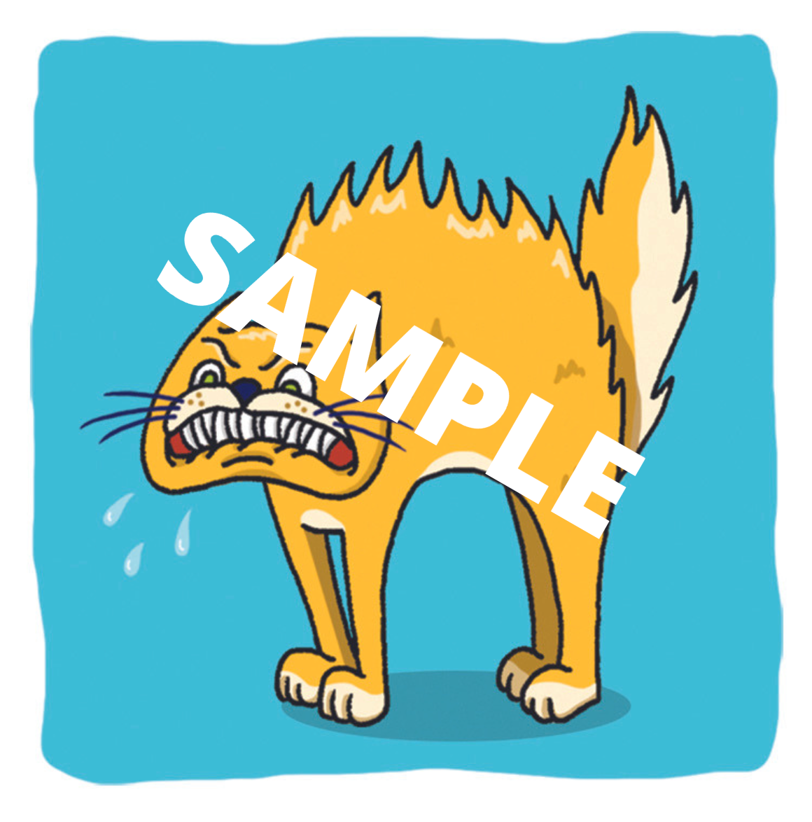 Enhance Speech with Bjorem Speech Sound Cue Cards