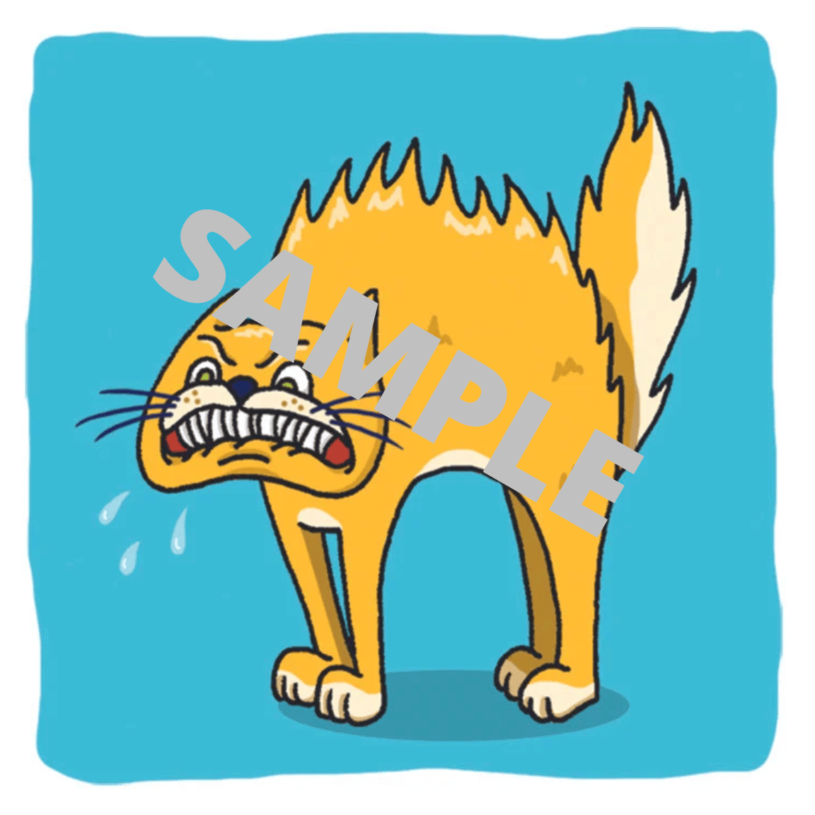 BIG BOX of Bjorem Speech Sound Cues | Speech Therapy | Apraxia of ...