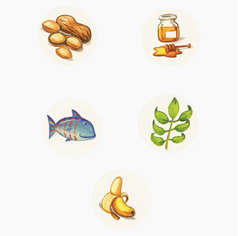 Feed the Animals: An Interactive Feeding Board Book