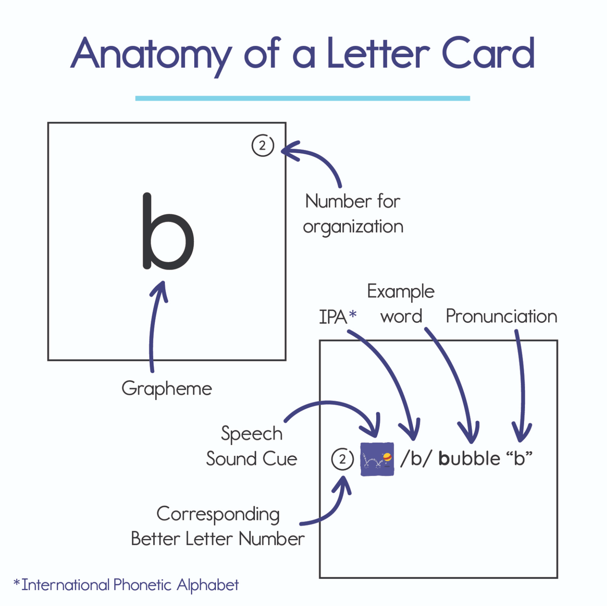 Anatomy of a Better Letter card front showing grapheme, IPA and corresponding sound cue