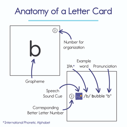 Anatomy of a Better Letter card front showing grapheme, IPA and corresponding sound cue