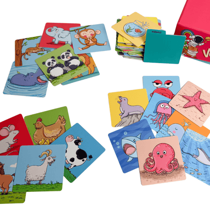 Bjorem Vocabulary picture cards