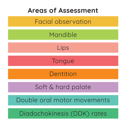 Areas of assessment: facial observation, mandible, lips, tongue, dentition, palate, movements and DDK rates