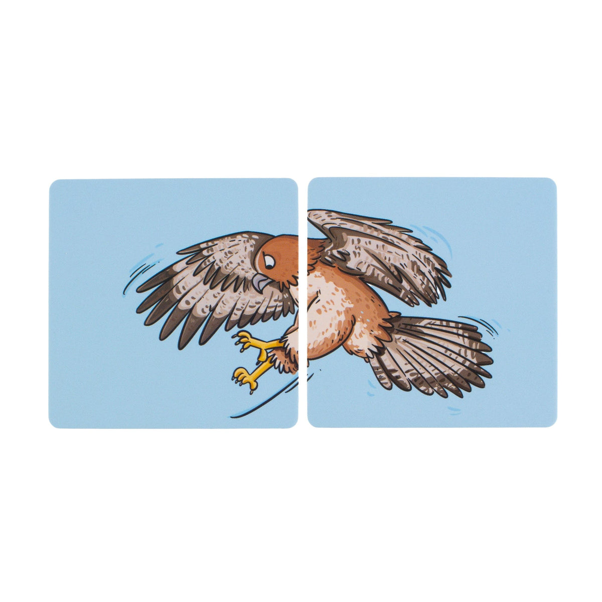Hawk picture cards from Tail Sounds