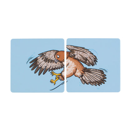 Hawk picture cards from Tail Sounds