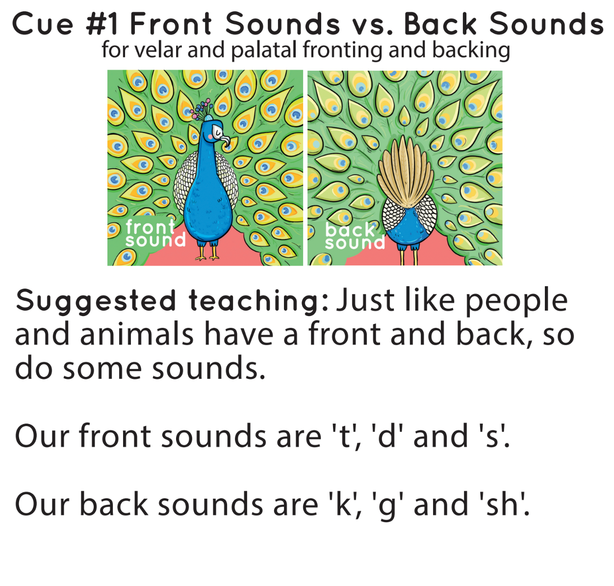 [title]Minimal Pairs: Fronting & Backing