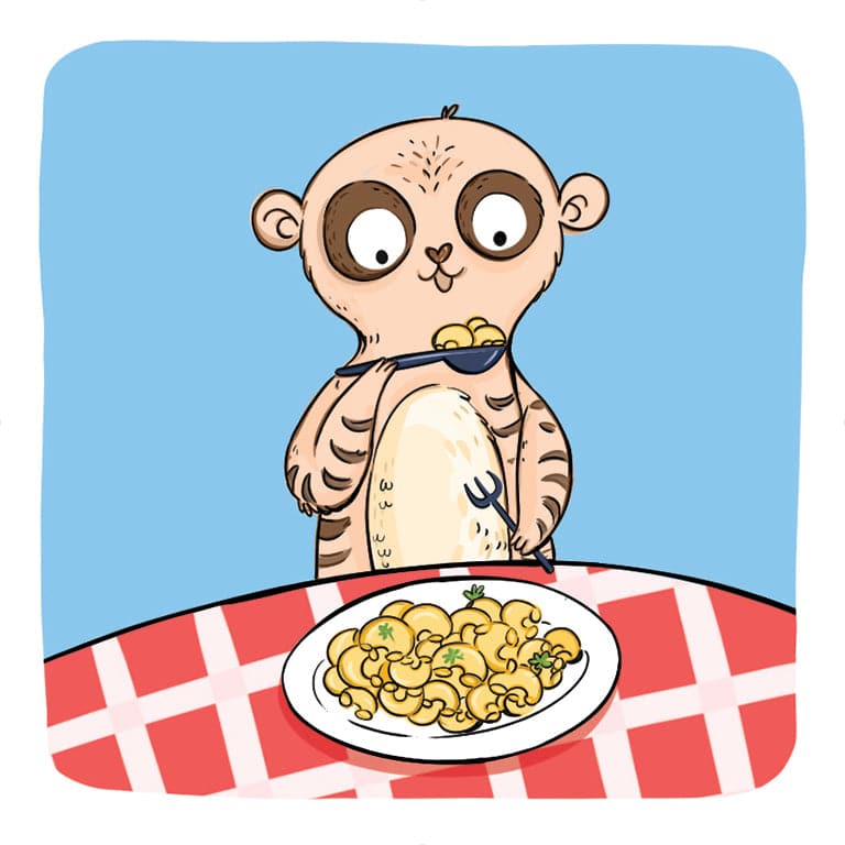 Box of M Speech Sound Cards Box of M Educational Speech Sound Cards for Language Skills Best Speech Language Therapy Tools