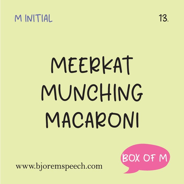 Box of M Speech Sound Cards Box of M Educational Speech Sound Cards for Language Skills Best Speech Language Therapy Tools