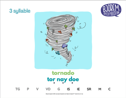 Stimulus Picture Book for Childhood Apraxia of Speech Inventory - Download Consonant Vowel Stimulus Picture Book for Apraxia Best Speech Language Therapy Tools